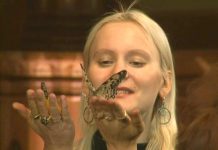 Битва экстрасенсов: сезон 1 – выпуск 6